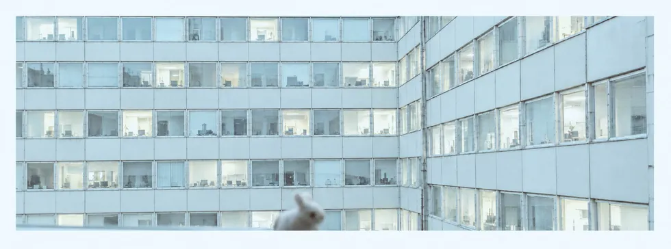 Intervals — photograph 13