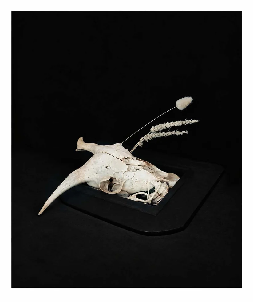 Afterimages — photograph 16