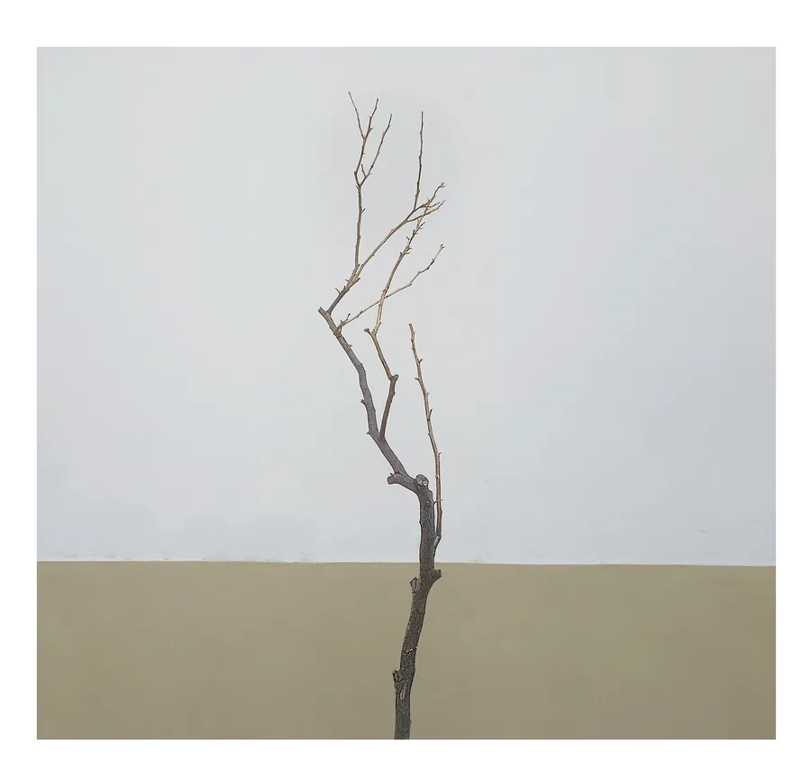 Still Growing — photograph 2