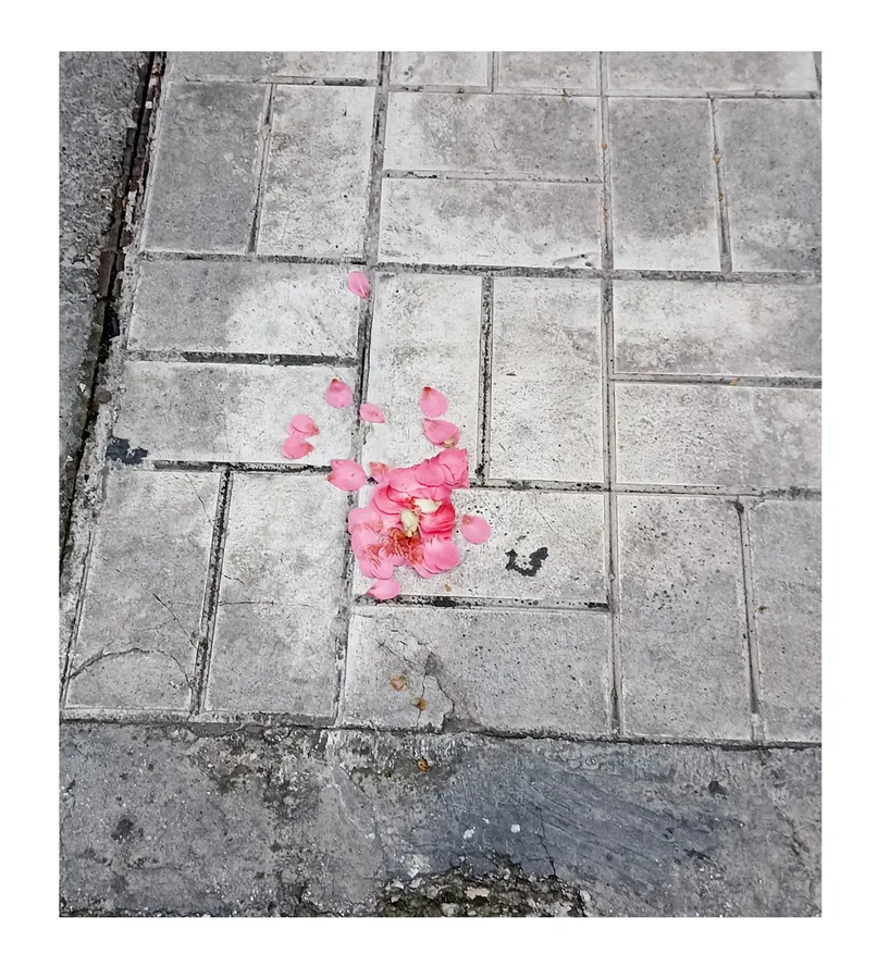 Still Growing — photograph 12